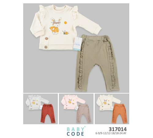 Детская одежда в Молдове baby code 317014 Костюм 2 единицы (6/9/12/18 мес.) в асс.