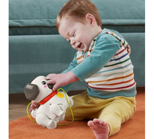 fisher-price htw94 jucărie muzicală  cu roti "pug"