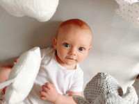 nuby id99613 Карусель плюшевая "little penguin"