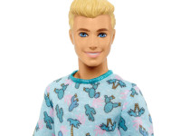 barbie hjt10 papusa ken