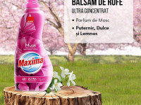 sano maxima balsam concentrat pentru rufe "musk" (1 l) 992850