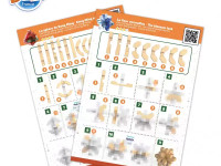 buki bk6207 joc puzzle "brain buster" – expert